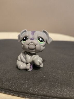 Littlest Pet Shop Gray Bulldog #916 with Green Eyes and Purple Markings